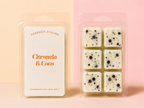 🥥 VELA DE CITRONELLA & COCO