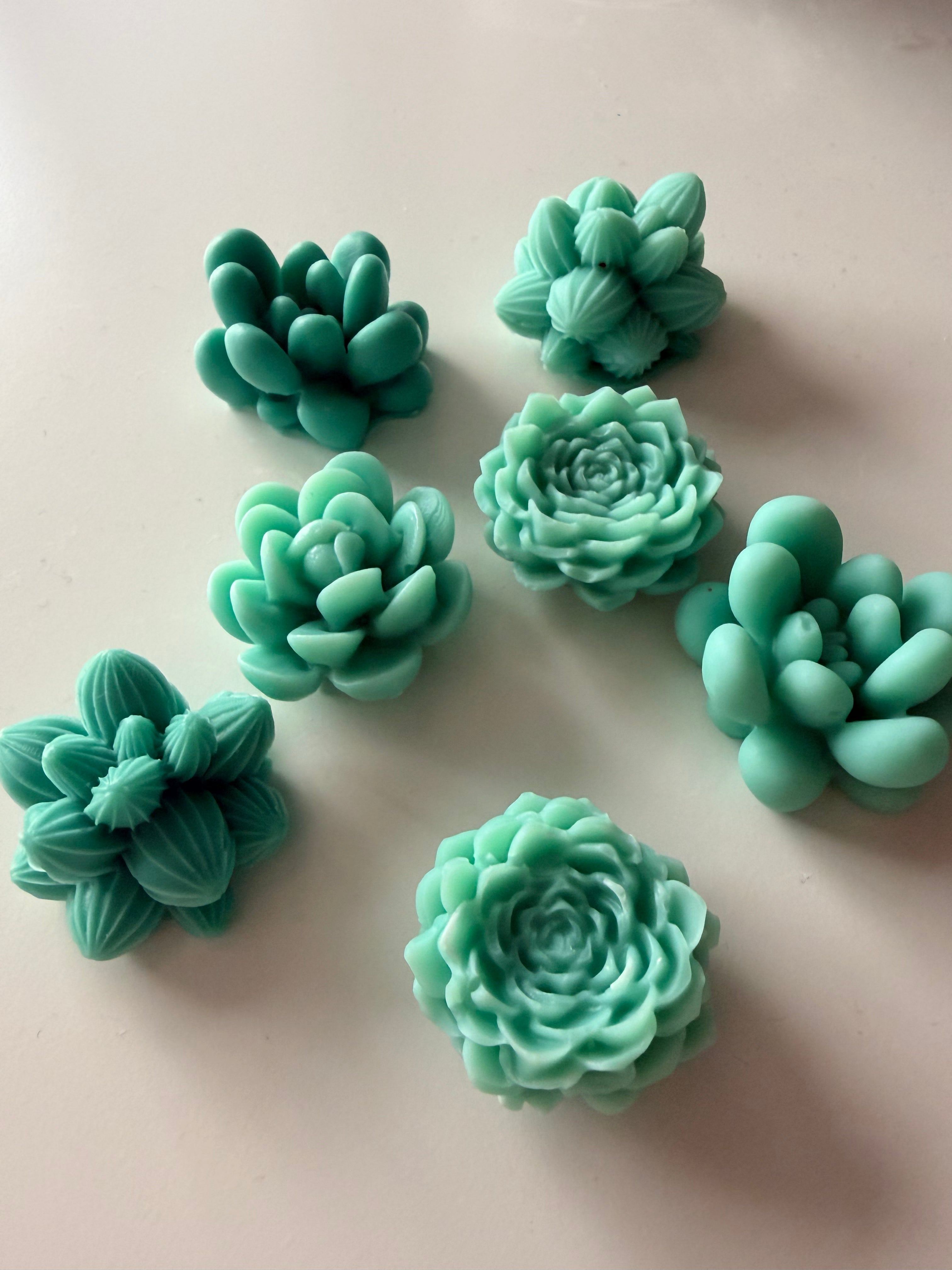 🤍 Orquídea & Lirio - SNAP BAR